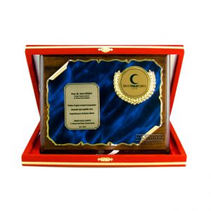 kabartma plaket yesilay 6241